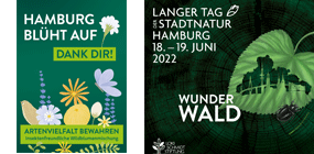 Hamburg blüht auf - machen Sie mit beim Langen Tag der StadtNatur!